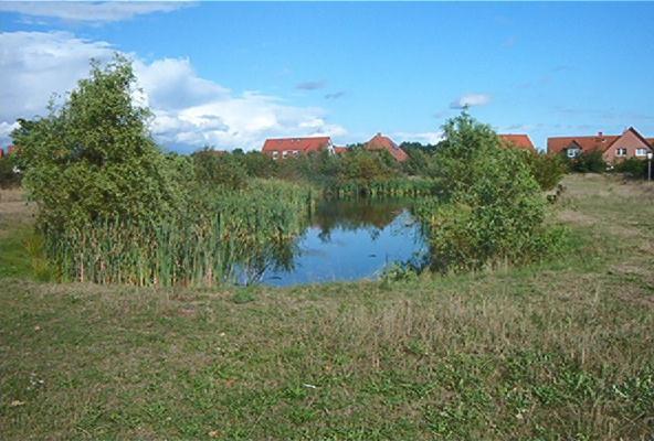 Ferienwohnungen Manfred Peters Baven Hermannsburg Buitenkant foto